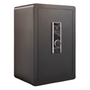 Coffre-fort Électronique Empreinte Digitale VEVOR