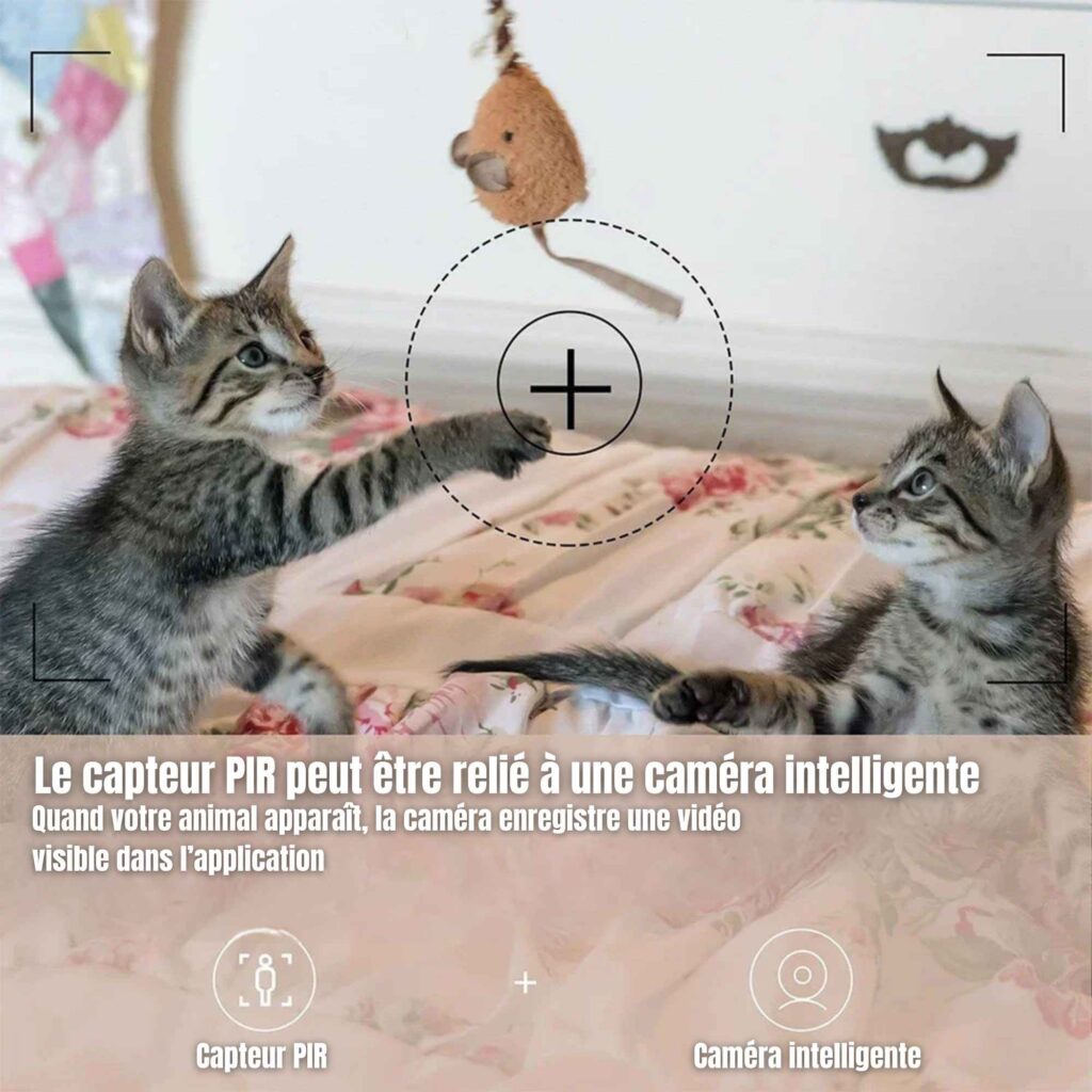 | SécuMax